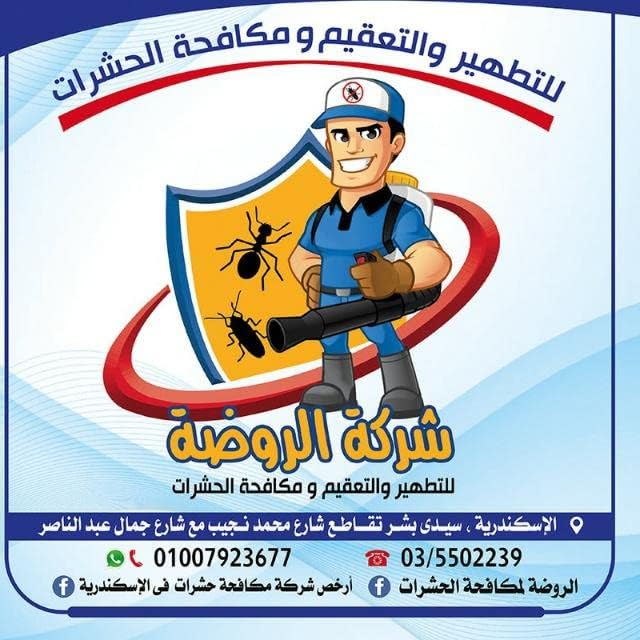 أقوى مبيد للنمل و الصراصير هالك بدون رائحة أو سموم من شركة الروضة لمكافحة الحشرات سعة 1 لتر