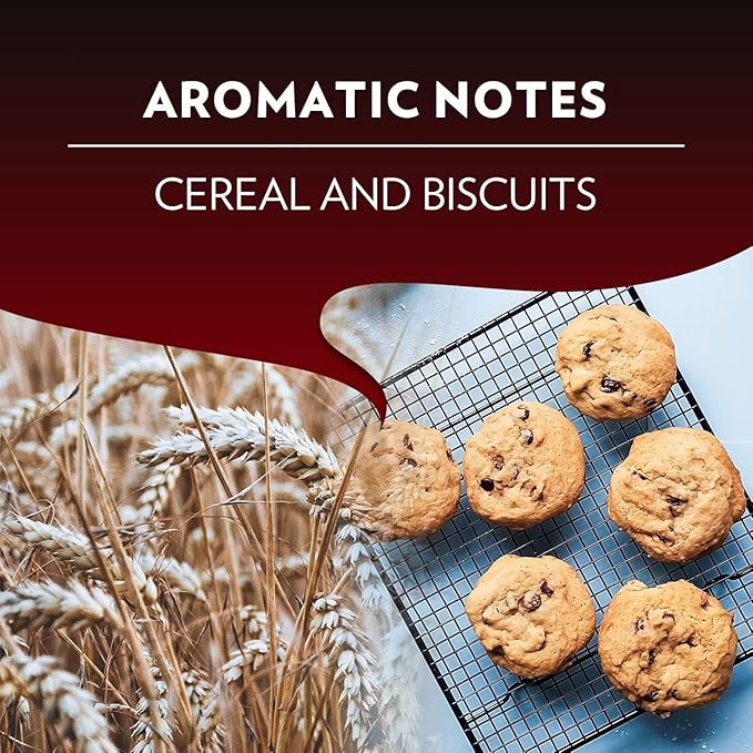 كبسولات الومنيوم اسبريسو مايسترو كلاسيكو 100% ارابيكا من لافازا، كثافة 9، متوسطة التحميص متوافقة مع ماكينات نسبريسو، خالية من ثاني اكسيد الكربون، عبوة واحدة من 10 كبسولات