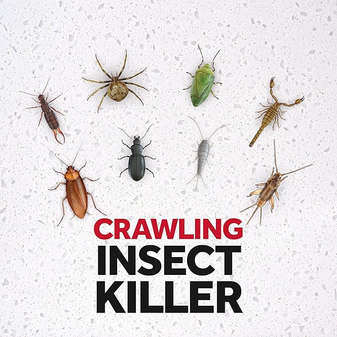 Baygon Crawling Insects Killer, 300 ml / مبيد الحشرات الزاحفة من بايجون، 300 مل