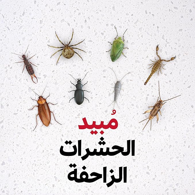 Baygon Crawling Insects Killer, 300 ml / مبيد الحشرات الزاحفة من بايجون، 300 مل